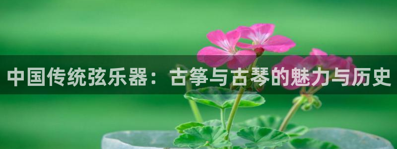 凯发k8娱乐|k808.vip:中国传统弦乐器:古筝与古琴的