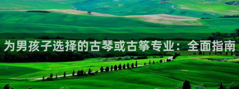 凯发手机唯一:为男孩子选择的古琴或古筝专业:全面指南